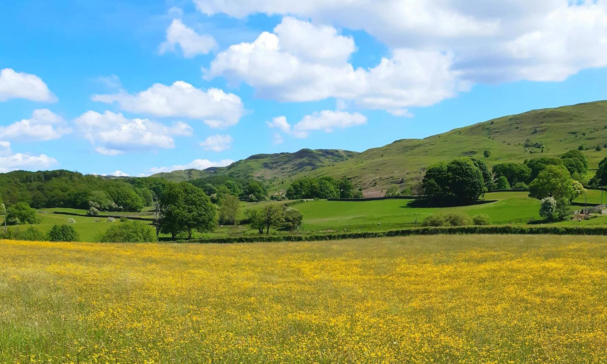 Ling Fell Cottage Ulverston Bagian luar foto