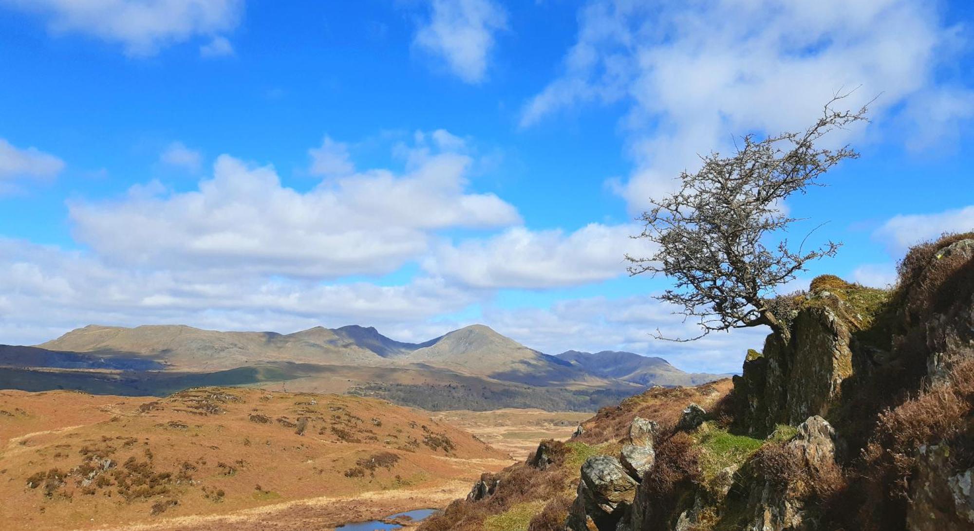 Ling Fell Cottage Ulverston Bagian luar foto